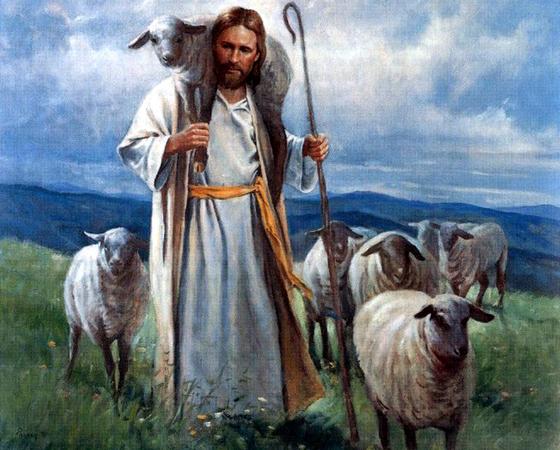 are jesus as the good shepherd of the sheep